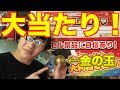【大当たり】1000円ガチャを回したら金の玉が出てきた！
