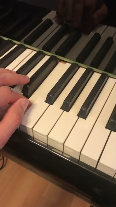 Bรถsendorfer Imperial Extra Bass ๐คฉ