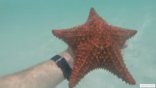 Snorkeling in Playa Pilar - Cayo Guillermo