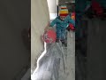 little baby play with ball #shorts #shortsvideo #shortsviral