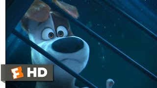 The Secret Life of Pets - Get the Keys! Scene (8/10) | Movieclips