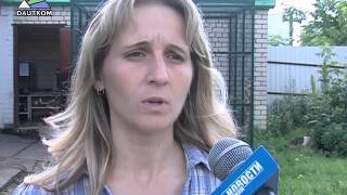 Репортаж из приюта для животных Репортаж из приюта для животных