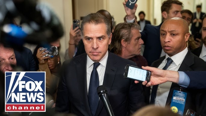 Mcenany Hunter Biden Took A Page Out Of Trump S Playbook