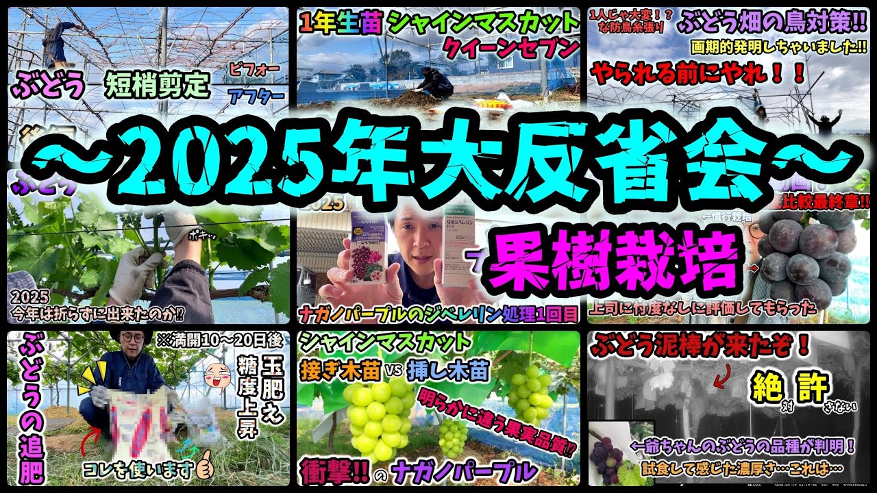 🍇🥝🍑] Thank you for 2025. [Big Reflection] Fruit Cultivation