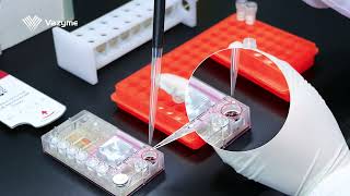 05 Sample Preprocessing MFD03