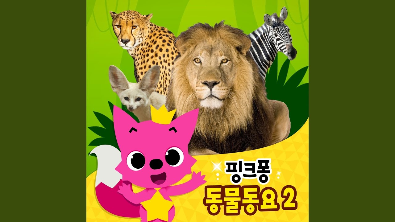 在 YouTube 上观看 캥거루