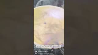 How To Fire Pottery In A Microwave