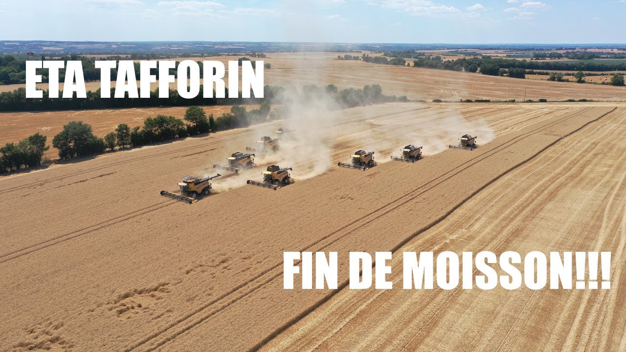 FIN DE MOISSON 2025 EXCEPTIONNEL A L'ETA TAFFORIN - 8 batteuse New -Holland!!!