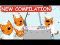 Kid-E-Cats | NEW Episodes Compilation | Best cartoons for Kids 2024