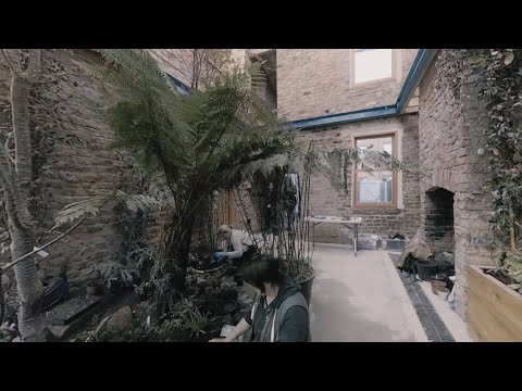 Video: In Einem 360-Grad-Video Wird Die Erstellung Von Assembles Granby Winter Garden Aufgezeichnet