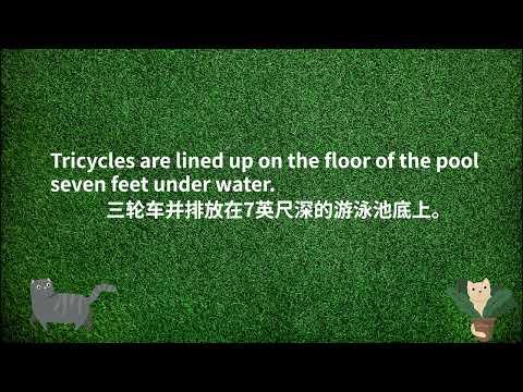 新概念二册(new concept English) 94 - future champions
