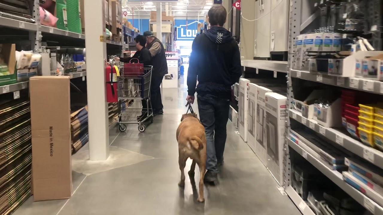 Jasper training in Lowe’s. YouTube
