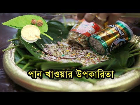 প্রতিদিন পান খাওয়ার উপকারিতা  What Is Benefit Of Betel Leaf  Health Car...
