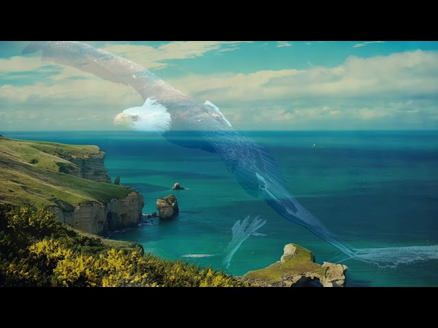 Watch Jordan Critz. Aegis on YouTube Watch Jordan Critz. Aegis on YouTube