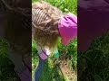 озеленение нашей планеты. Германия