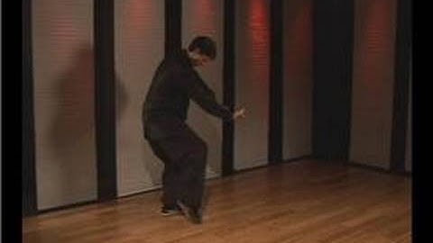 Kung Fu Fighting : Praying Mantis Low Circle Block Forearm Strike