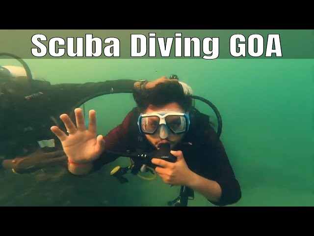 Dive Goa Candolim Destimap Destinations On Map - images of roblox scuba experience