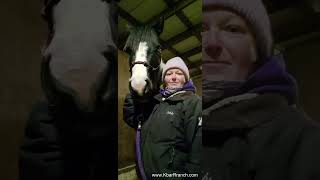Ranch Tip of the week Foaling Prep