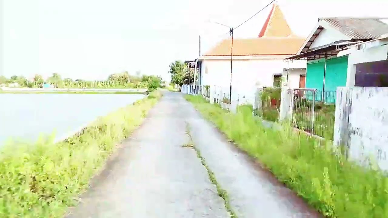 MELIHAT ORANG MENCARI IKAN PAKAI JALA BANJIR 