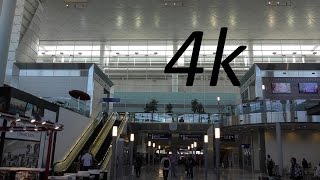 A 4K Tour of Dallas-Fort Worth International Airport (DFW)