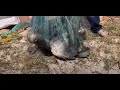 Mira este tarrayaso con 25 kilos de pescado. Tarrayaso dedicado