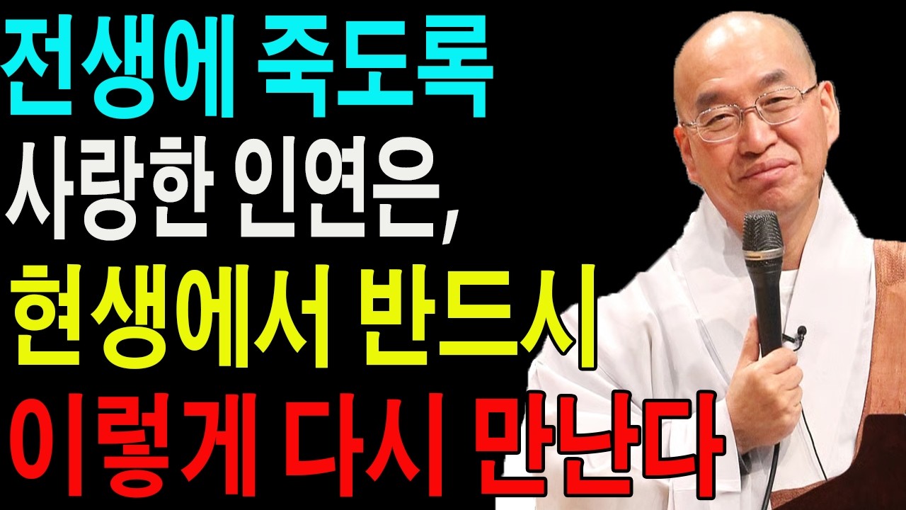 전생에 죽도록 사랑한 인연은, 현생에서 반드시 이렇게 다시 만난다