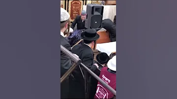 What Happens When You Enter Satmar Rebbe S Daled Amos On Purim 