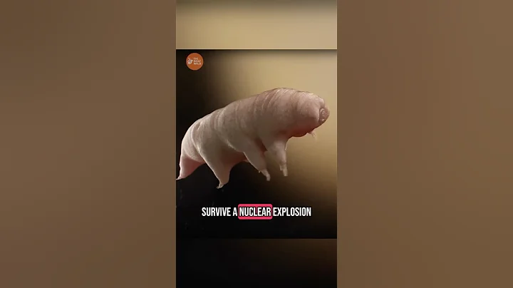 This ANIMAL can survive  a NUCLEAR EXPLOSION #animals #animalfacts