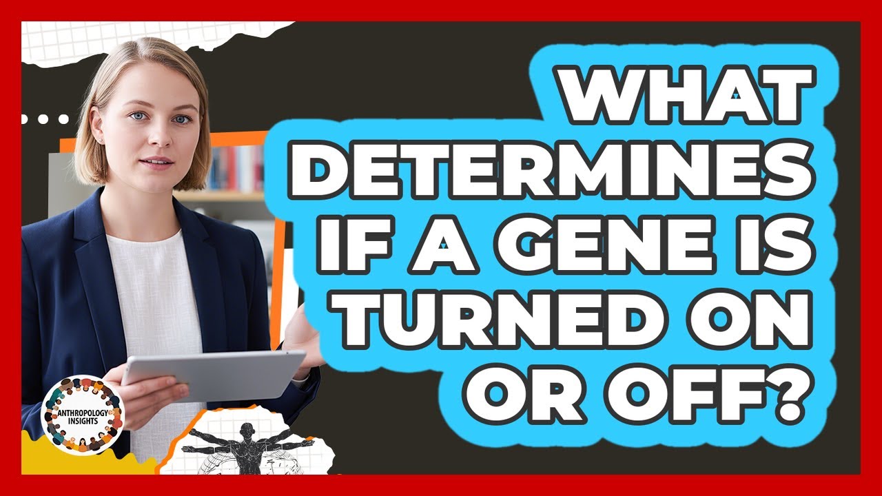 What Determines If A Gene Is Turned On Or Off? - YouTube