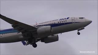 ✈✈!成田空港こんなの初めて見た!!木の葉のように飛行機が舞う!ゴーアラウンド Go Around Heavy storm ウインドシア(windshearSuper Crosswind Narita