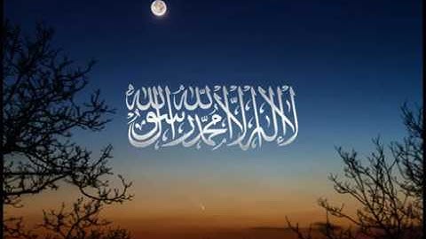 سورة يس  I  يحيى أحمد الحليلي