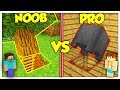 ENTRATA SEGRETA NOOB CONTRO PRO! - Minecraft ITA