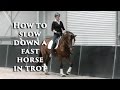 HOW TO SLOW DOWN A FAST HORSE IN TROT? - Dressage Mastery TV Episode 91