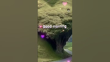 Thumbnail of Good morning ❤️ #joe #love #lovemusic #lovesong #song #morningjoe