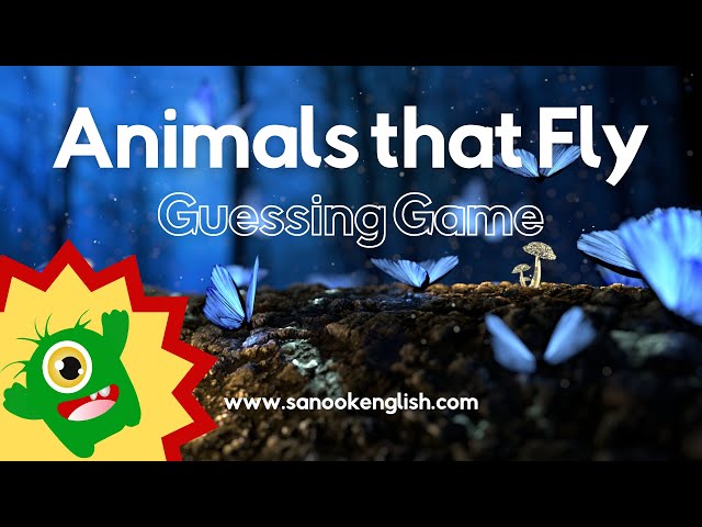 Animals that Fly English Vocabulary Guessing game class=