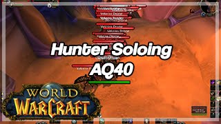 [World of Warcraft] Hunter Soloing AQ40, All Bosses