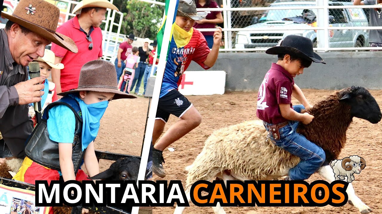 MONTARIAS EM CARNEIROS 🤠RODEIO TEAM