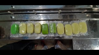 Soap Bar Packing Machine Horizontal Flow Manufacturer Chennai STANDARD PACK ENG. CO.  9381025505