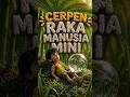 CERPEN RAKA MANUSIA MINI