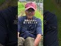 お米について #お米 #農業 #設楽町 #町おこし