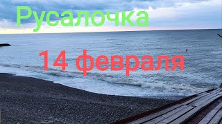 14 февраля, Пляж Русалочка. Погода Сочи.