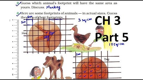 Maths Magic Class 5 | Ch 3 - Part 5 | My Footprints, Find the area faster by making big rectangles