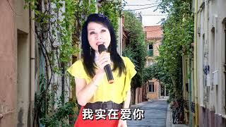 Download Lagu 我没有骗你    ( Wo Mei You Pian Ni ) MP3