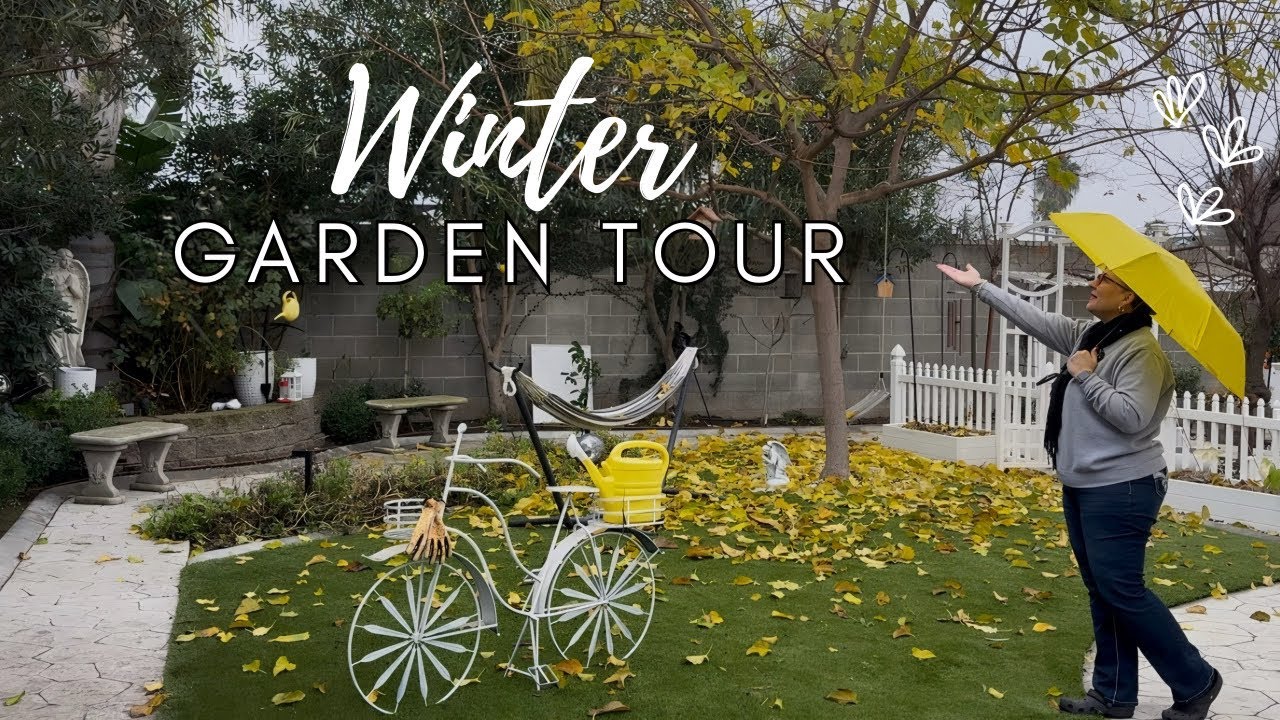 Slowing Down in the Winter Garden: A Peaceful Tour of My Favorite Cold-Weather Beauties