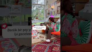 Provada Jimimin Hâller Isahipsizdeğildir