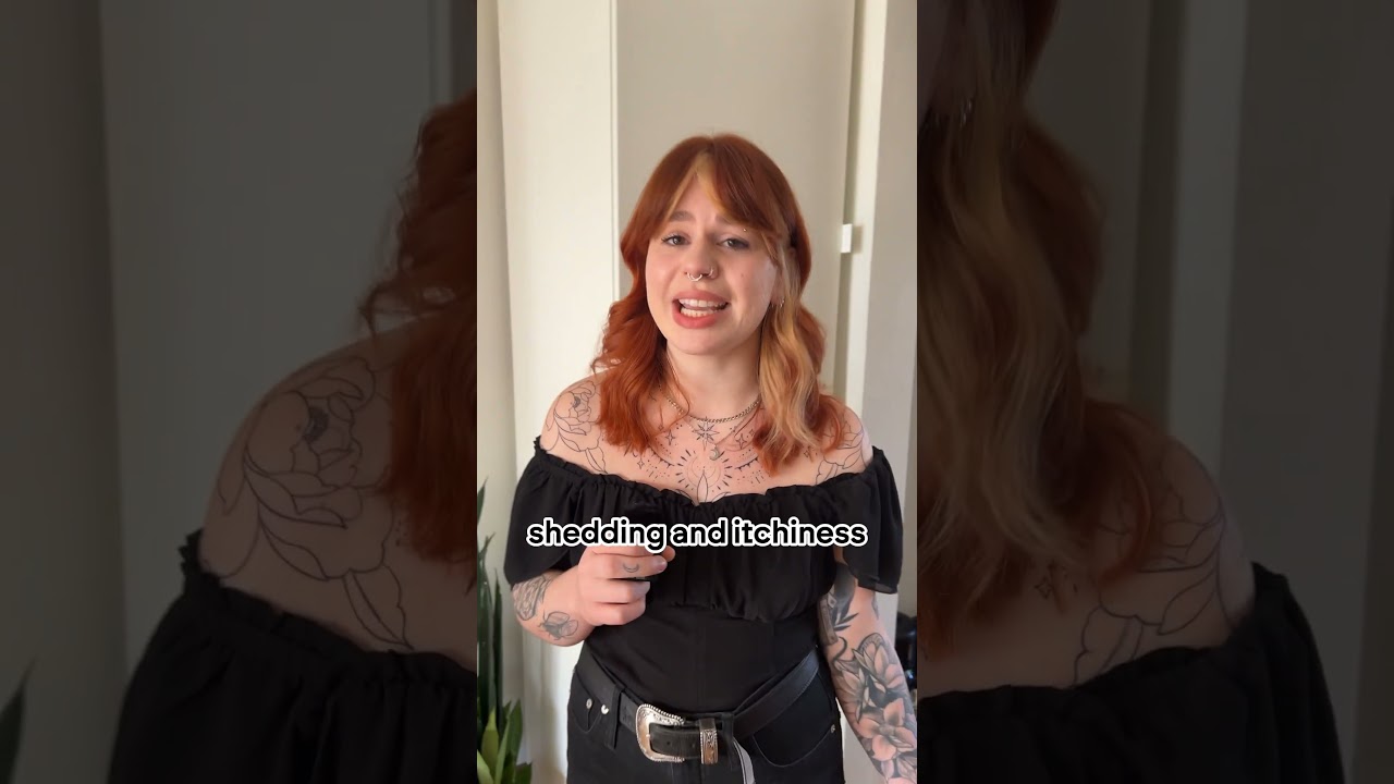 "I and love and you" Feed Meow® Indoor