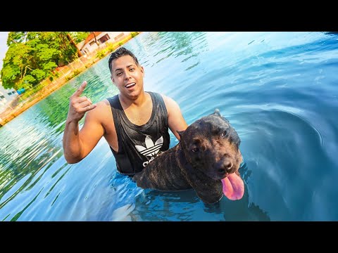 PULEI NO LAGO COM MEU CACHORRO