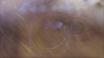 kisses - Butterfly Eyes (Official Video)