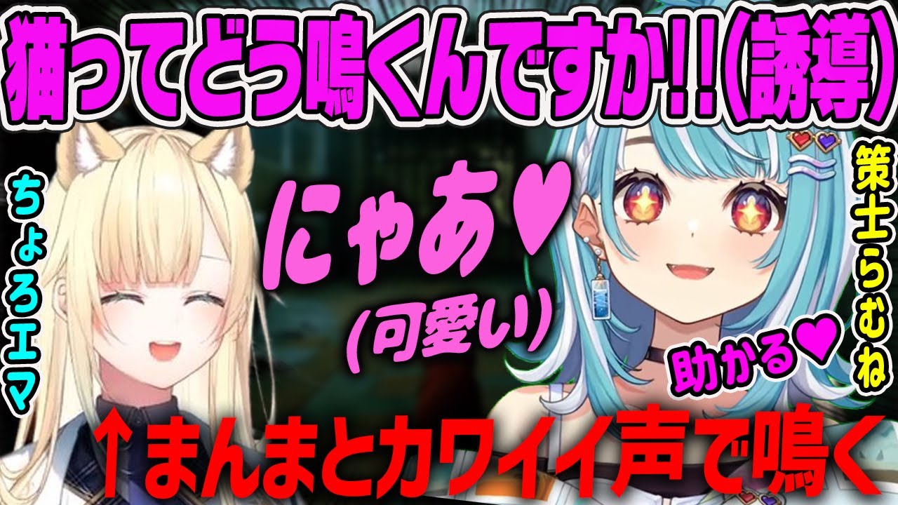 【藍沢エマ】策士らむねに騙され、まんまとカワイイ鳴き声を出す猫耳エマ【Stray・ぶいすぽ】