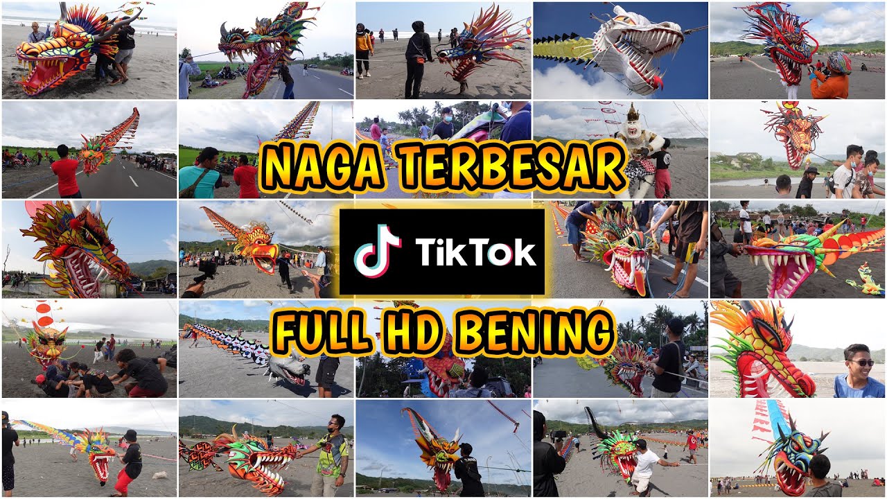 KUMPULAN LAYANGAN NAGA TERBESAR RAKSASA VIRAL DI TIKTOK TERBARU | BIGGEST DRAGON KITE